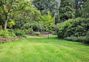 Optimiser l'expérience du jardin à Curcy-sur-Orne